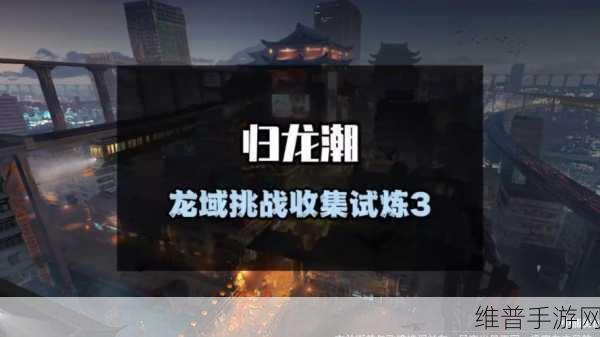 归龙潮,探秘龙域的绝佳攻略指南