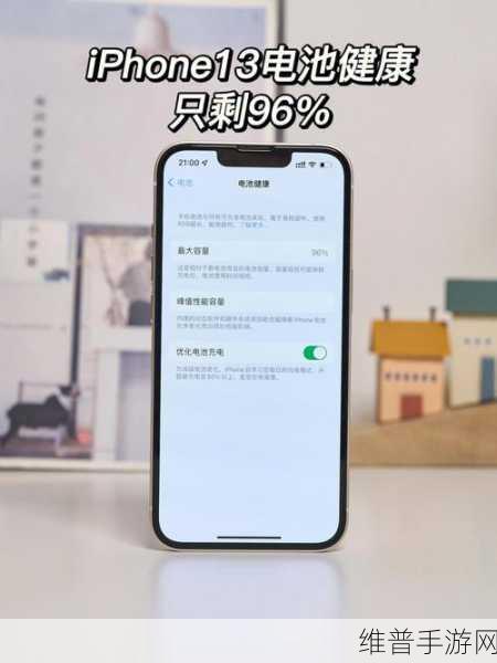 苹果使用 10 个月电池健康 93%，这究竟是否正常？
