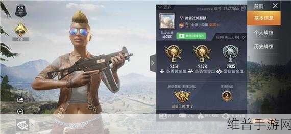 和平精英分批登录策略全解析，畅玩游戏无忧