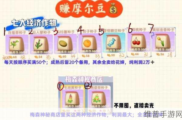 摩尔庄园手游，百合花种子获取秘籍大公开