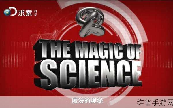 创造与魔法交易所的奥秘，一场深度探寻大交易场所的冒险之旅