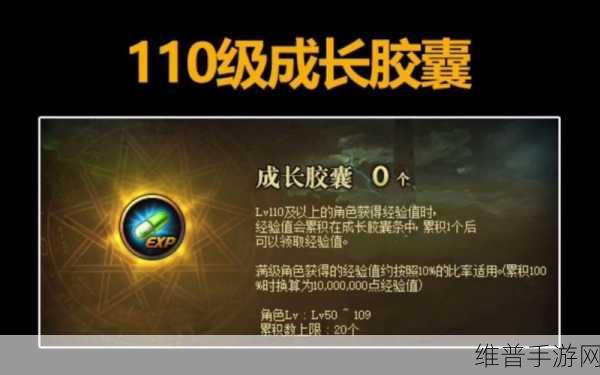 DNF手游攻略，深度解析满级成长胶囊的神奇作用