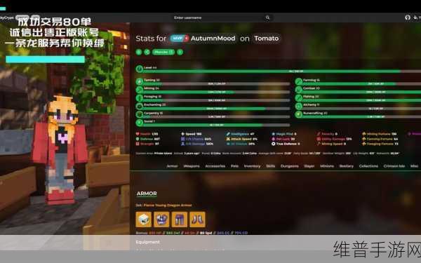 探索我的世界Hypixel服务器，国际版与国服地址全解析