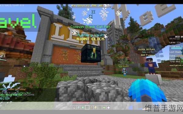 探索我的世界Hypixel服务器，国际版与国服地址全解析