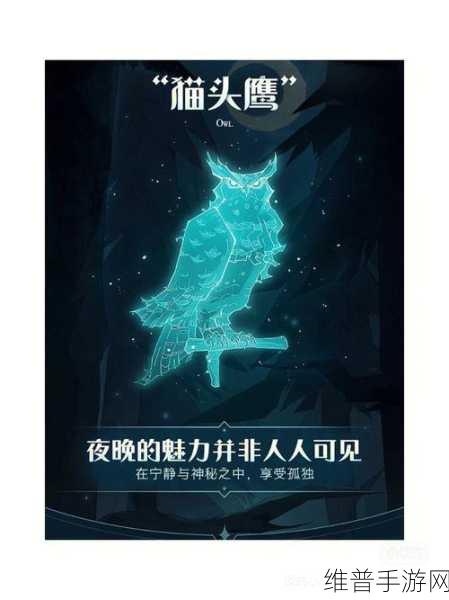 哈利波特手游守护神魅力大比拼
