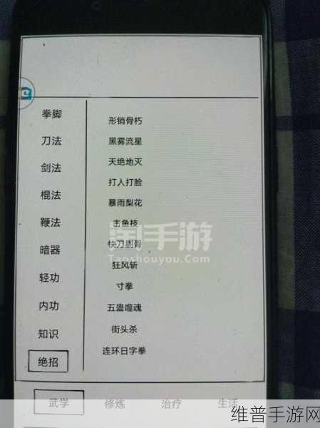 暴走英雄坛夜行衣属性全解析，提升实力的必备神器
