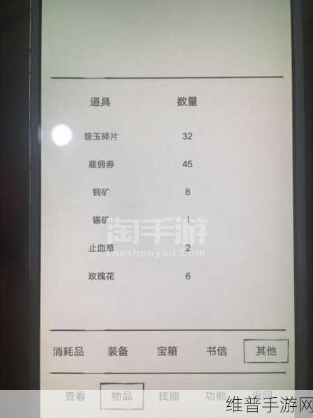 暴走英雄坛夜行衣属性全解析，提升实力的必备神器