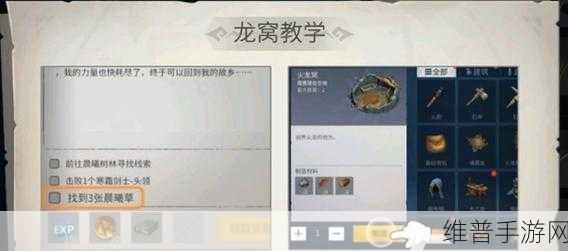 冰原守卫者黑暗龙窝通关秘籍大揭秘