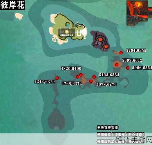 创造与魔法,获取彼岸花的终极秘籍