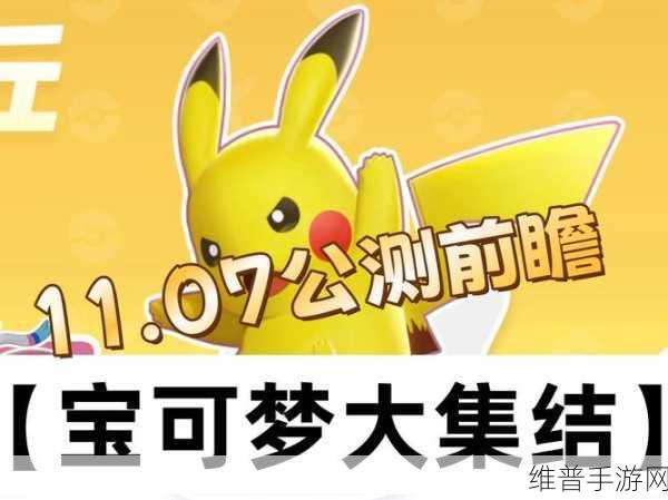 宝可梦大集结无法进入?这两招帮你解决!