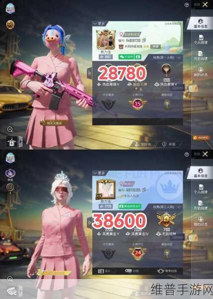 和平精英拉轰鸭鸭车价格全解析，解锁你的独特战场风采