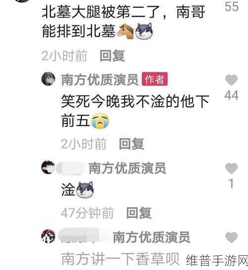 王者荣耀北慕口子哥事件深度剖析与解读