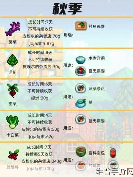星露谷物语，解锁夏季最值钱农作物种植攻略