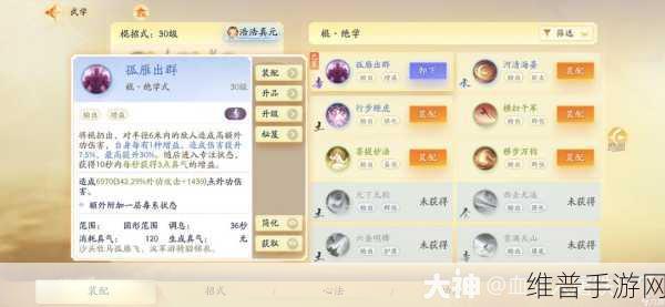 射雕，打造最强杨康主 C 队伍 配队秘籍全解析