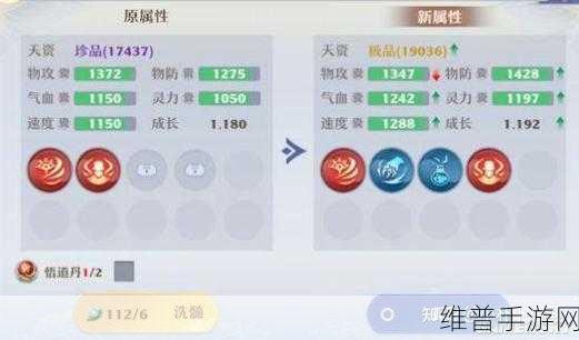 梦幻新诛仙八荒火龙挑战攻略，全面解析与实战技巧