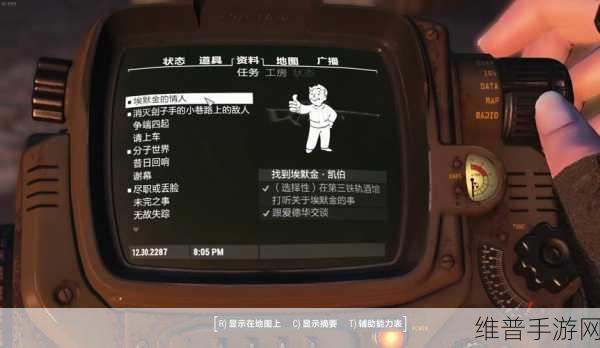 辐射4，全面解析与应对各种BUG的攻略指南