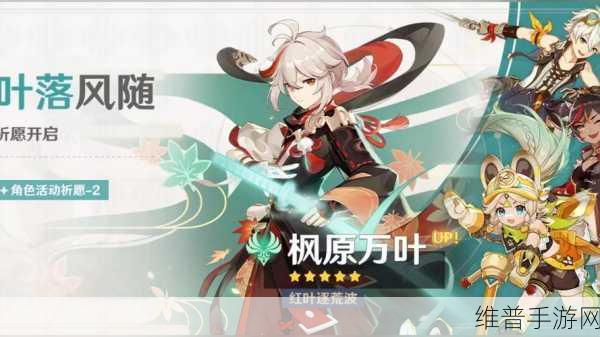 原神叶落风随卡池角色深度探秘