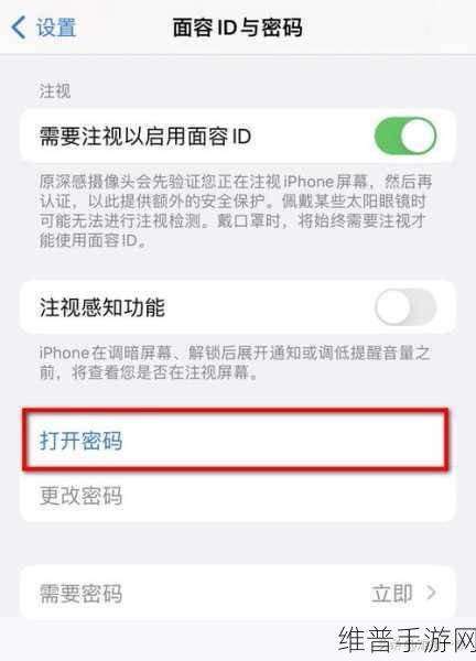 苹果手机手游应用密码加密全攻略