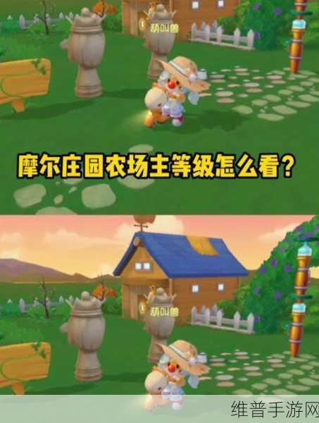 摩尔庄园手游农场主等级快速提升全攻略