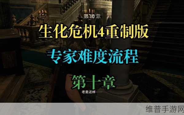 生化危机 4 重制版专家难度 S 达成全攻略
