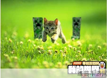 吉吉影音在手游世界中的观影与下载指南