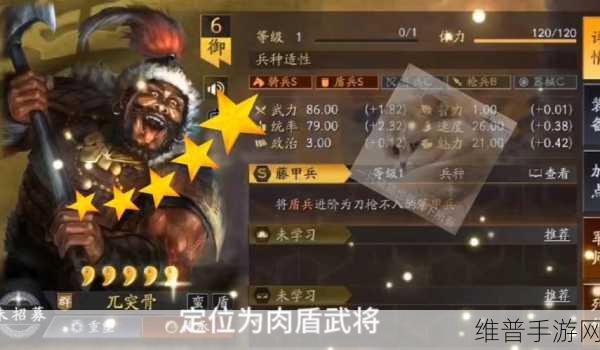 三国志战略版攻略，兀突骨战法阵容搭配深度解析