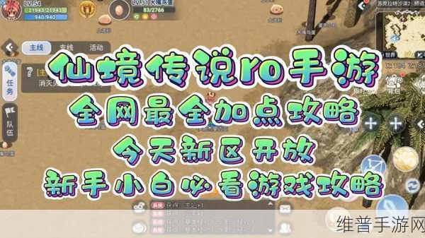 仙境传说RO手游攻略，暴力牧师加点详解