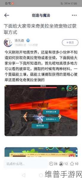 创造与魔法，探寻彼岸花的神秘之旅