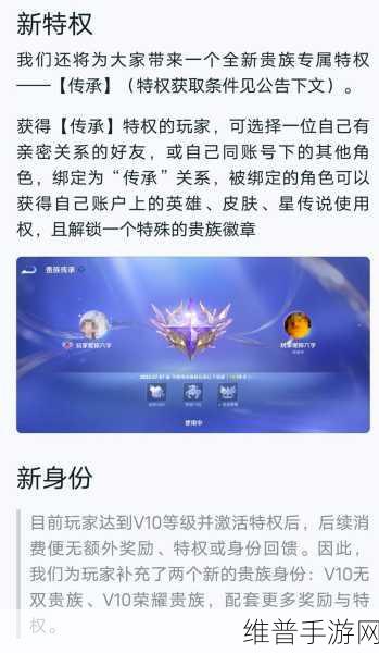 王者荣耀，深度解析专属贵族特权的彰显之道