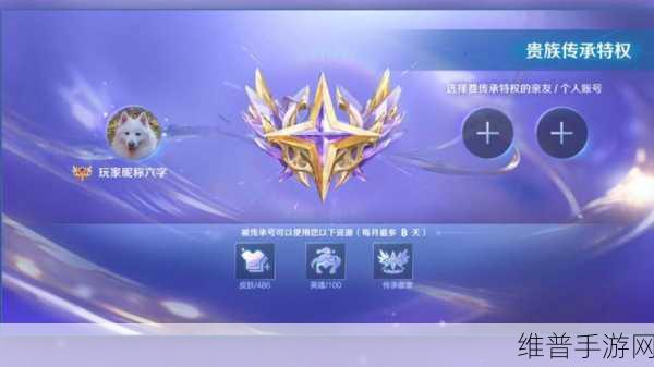 王者荣耀，深度解析专属贵族特权的彰显之道