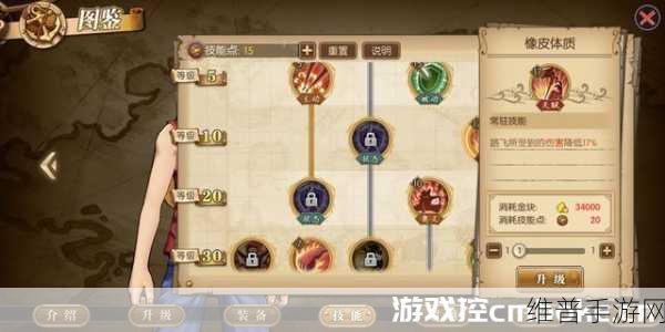 航海王燃烧意志路飞技能加点深度解析