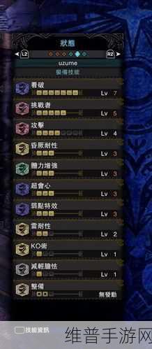 怪物猎人世界4.0冷门大锤配装深度解析
