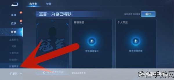 王者荣耀赛点级冠军选手卡显示模式全解析
