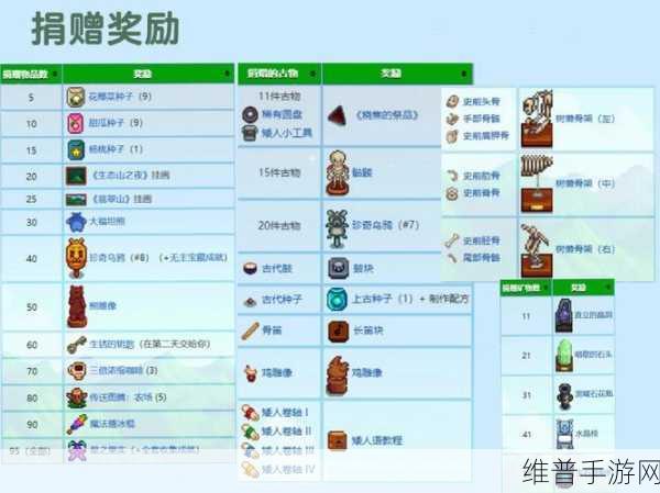 星露谷物语深度攻略，姜岛宝石鸟摆放顺序全解析