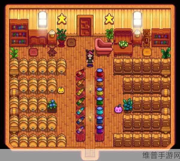 星露谷物语深度攻略,姜岛宝石鸟摆放顺序全解析