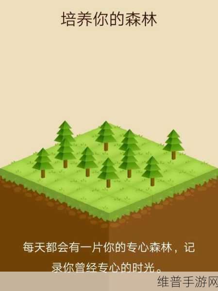 辐射4手游深度攻略,时间管理技巧与游戏策略