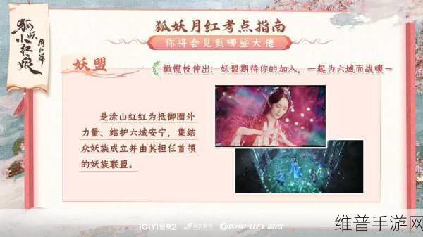 狐妖小红娘手游，涂山阵容搭配的绝佳秘诀