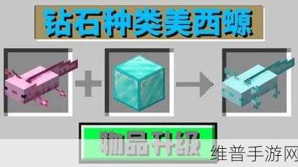 我的世界手游，美西螈繁殖秘籍大公开