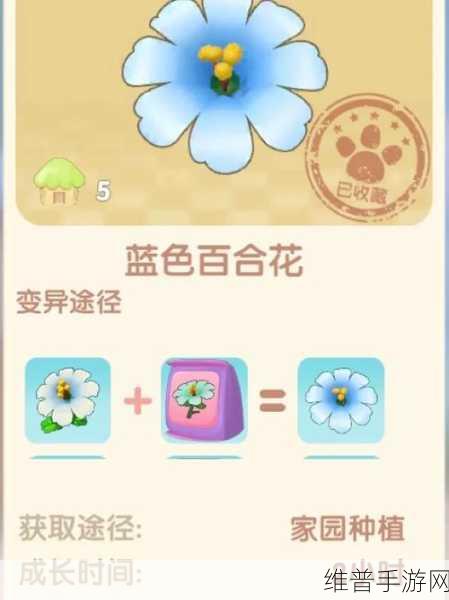 摩尔庄园手游，百合花种子获取秘籍大公开