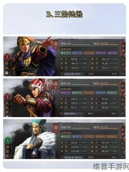 三国志战略版郝昭司马盾阵容深度解析
