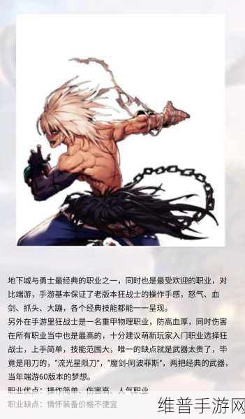 DNF100级版本职业排行榜深度解析,红眼崛起,幻神之路如何评说?