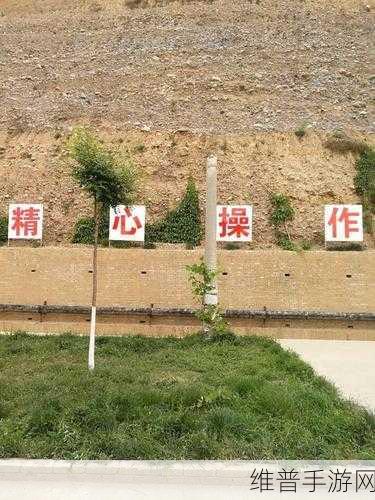 国产精产国品一二三产区：1. 精益求精：国产优质产品的多元化拓展