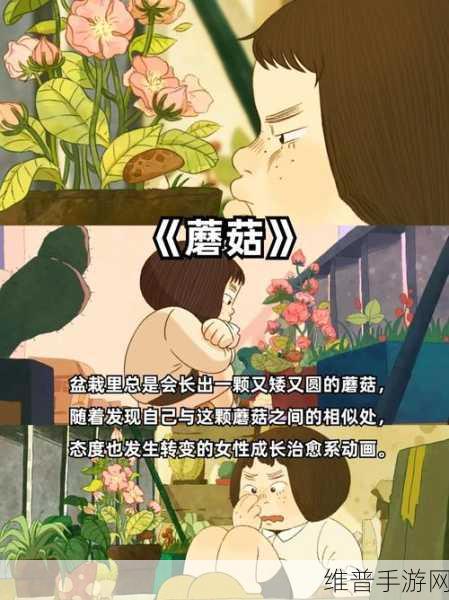 适合夜晚看的动画电影将停运下架回应：1. 夜晚观影新选择：推荐适合深夜的动画电影