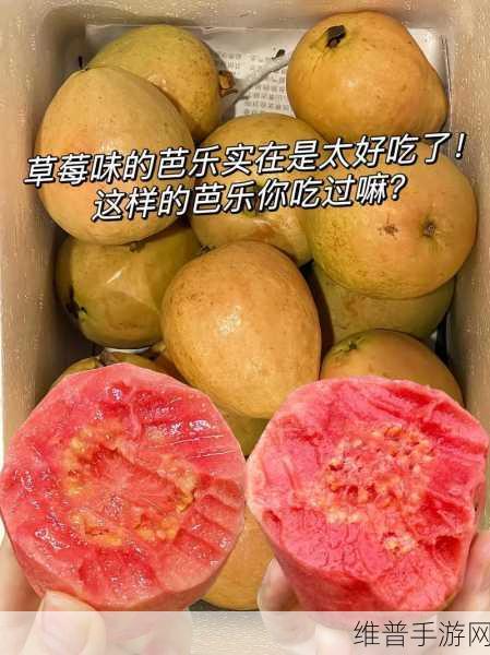 性宝福丝瓜草莓芭乐小猪鸭脖:1. 发现性宝的独特魅力:丝瓜草莓芭乐之旅