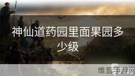 神仙道手游攻略,药园红土地与黑土地的铜钱收益对比