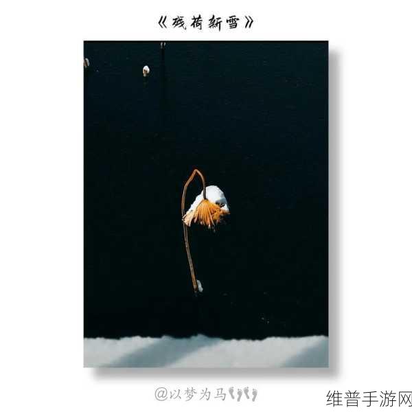 神秘电影第5条线：当然可以！以下是根据神秘电影第5条线拓展出的新