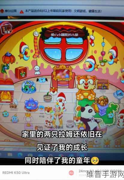 摩尔庄园，米米号密码遗忘的解决秘籍