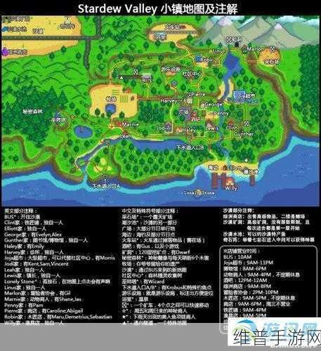 星露谷物语姜岛宝石鸟摆放顺序全解析,助你轻松通关拿奖励