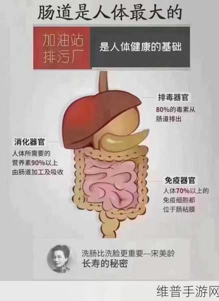 大爷是在帮你排毒：1. ＂大爷的排毒秘诀：自然疗法与生活智慧