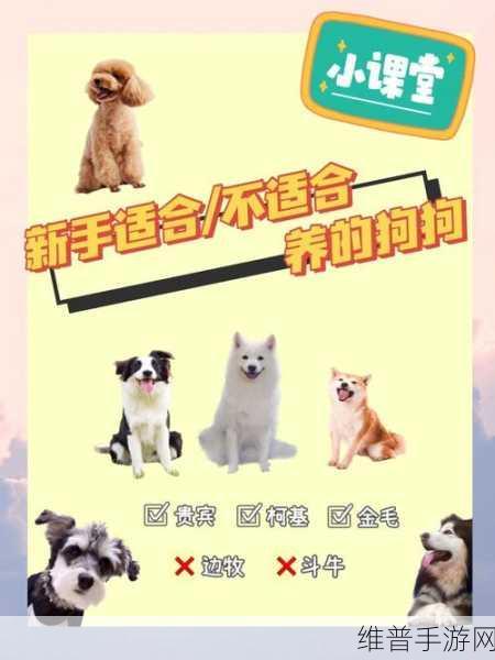 一人一狗卡六个小时游戏：当然可以！以下是一些基于“一人一狗卡六个小时”的新标题建议：